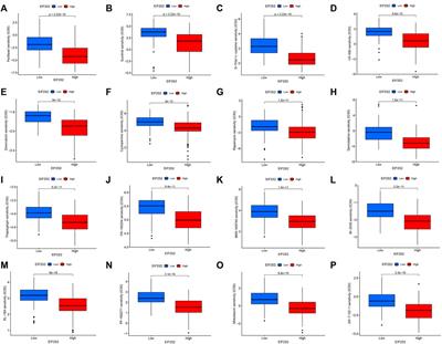 EIF2S2 is a novel independent prognostic biomarker and correlated with immune infiltrates in hepatocellular carcinoma